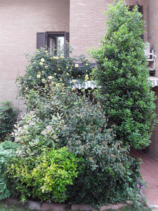 B&B La Rosa Gialla Maranello Buitenkant foto